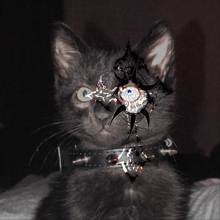 Логотип @gggoddaughterr - GODDAUGHTER