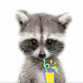 Логотип @ggmemegg - Енот и компот