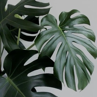 Логотип @ggrrroiu - Елец Зеленодольск Новокуйбышевск Воткинск Железногорск Междуреченск Воскресенск Гатчина Серов Саров Ленинск Кузнецкий Сарапул Ма