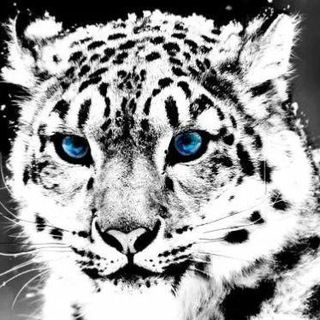 Логотип @ghivotn - Правильный выбор