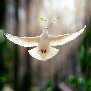 Логотип @ghktiere - 🐾Germanische Heilkunde für Tiere