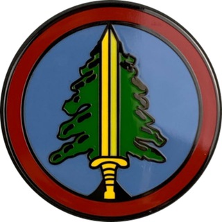 Логотип @ghostwood - Парни из Читальни