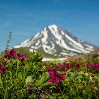Логотип @gid_kamchatka - Гид_Камчатка🌋