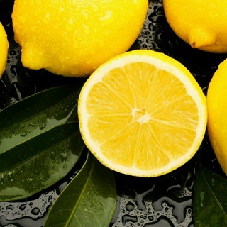 Логотип @gif_video_haus - G. I. F.V. I. D. E. O. H. A. U. S®