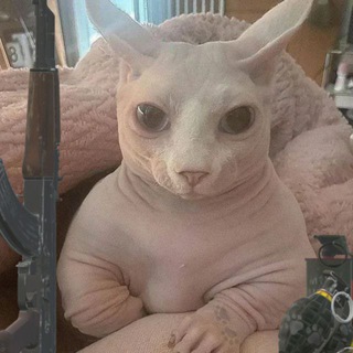 Логотип @gifkarusik - ГИФКАВИЧ