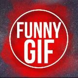 Funny Gif 🎬