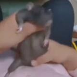 ТОПОВЫЕ ГИФКИ, отобранные лично Димочкой