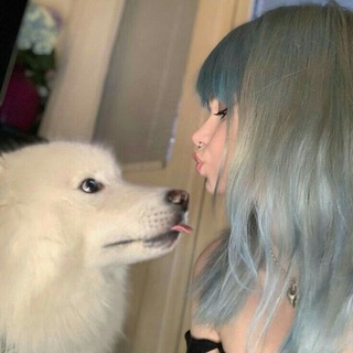 Логотип @gifsfayer - gifs by — fayer