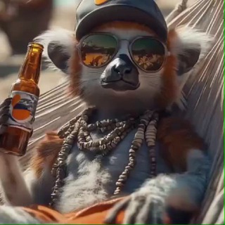 Логотип @gifsmemesve - DETODOUNPOCO🤭🤭🤗