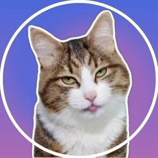 Логотип @gifstiki - Video Stickers - Видео Стикеры - Гиф Стики