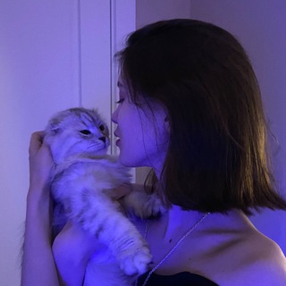 Логотип @gigi_tele25 - БОЛЬШИЕ ПРОБЛЕМЫ