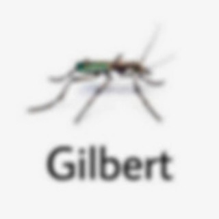 Логотип @gilbertshop - Gilbert