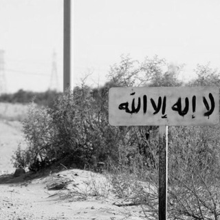 Логотип @gimjik - JD