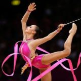 Логотип @gimnastikaskool - Камень в огород