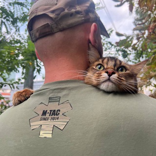 Логотип @ginger114 - ⚕️Рудий114/Ginger114