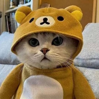 Логотип @ginsoda - Джин Тоник