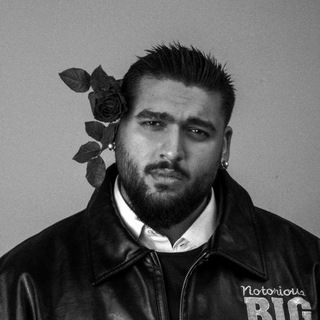 Логотип @gipsynews - ANDRO