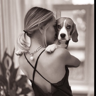 Логотип @girl_with_beagle - Girl with beagle 🐉