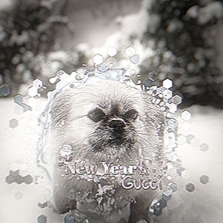 Логотип @girlprincessgucci - Хвост Алабая☠️🎄