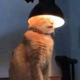 Логотип @gistyichat - Чат с густым☁️