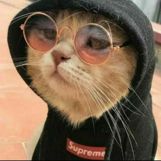 Логотип @gitmebenibirakma - Boş yapmaya geldik gençler😈