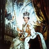 Подарки NFT 🎁 Розыгрыши