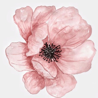 Логотип @givelove_flowerschat - Дари Любовь