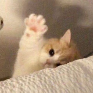 Логотип @givemepfote - Дай лапу, друг