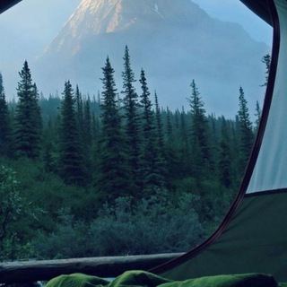 Логотип @gjgmgdkxykhckd - Ответы