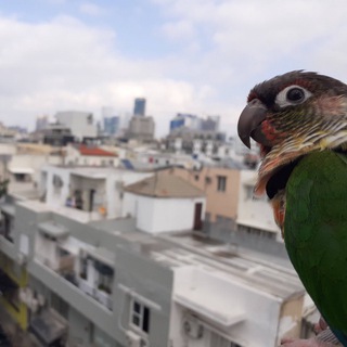 Логотип @glassfromgluz - 160 дней без Диего