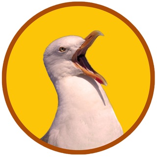 Логотип @glavnoe_v_sochi - Главное в Сочи