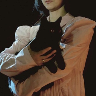 Логотип @glavredmrcat - Главный редактор Мр.Кот