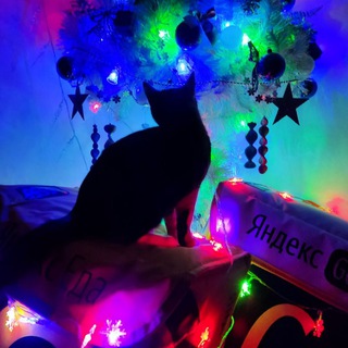 Логотип @glazami_kuriera - Глазами курьера