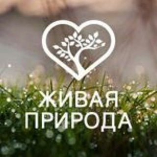 Логотип @glazamiturista_ru - Телеканал ЖИВАЯ ПРИРОДА