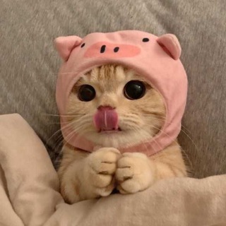 Логотип @globalllink - Global Link PROXY ПРОКСИ - остаёмся на связи с миром