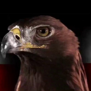 Логотип @globalpatriots - GlobalPatriots