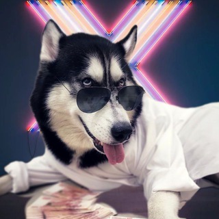 Логотип @globtreker_chat - | Хаски Кипр 🏕