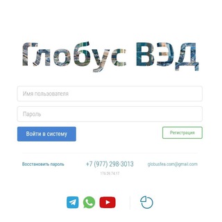 Логотип @globusved - Таможенная статистика