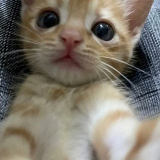 Логотип @gloriabyw - {millionaires}/закрыт