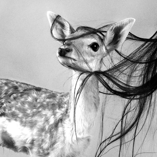 Логотип @glowofinspiration - i n s p i r e m e