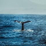 Логотип @glubinavnutri - Глубина внутри тебя🌊