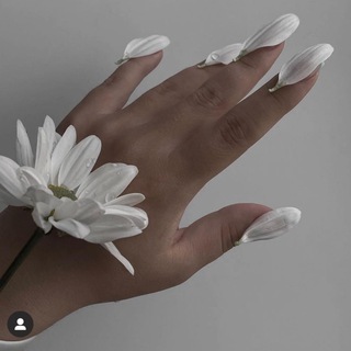 Логотип @glyalash - Визуал для бровиста/ лешмейкера/Бьюти мастера/ стикеры/ сторис