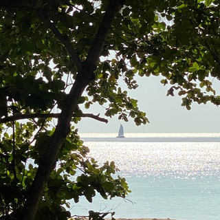 Логотип @gm_kalopsia - 【kalopsia】