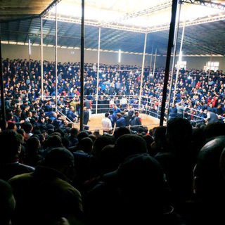 Логотип @gmailxorozuz - ТОШКЕНТ ХОРОЗЛАРИ 🇺🇿