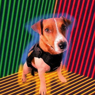 Логотип @gmanka - gmanka