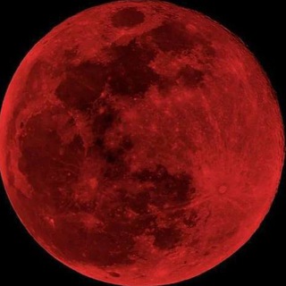 Логотип @gmdv444 - ɢᴀᴢɪᴍᴀɢᴏᴍᴇᴅᴏᴠ ¹⁹