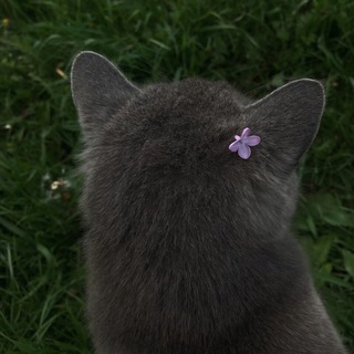 Логотип @gndlv_a - a.222.06