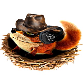 Логотип @gnezdomuziki - 🪹 Гнездо: Музыки