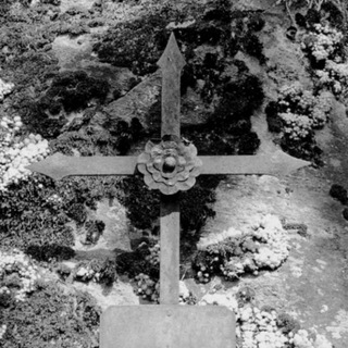 Логотип @gnosissofiasolrise - Testimony Of Pleroma