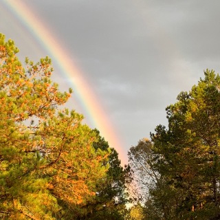 Логотип @gnswellness - GNS Wellness